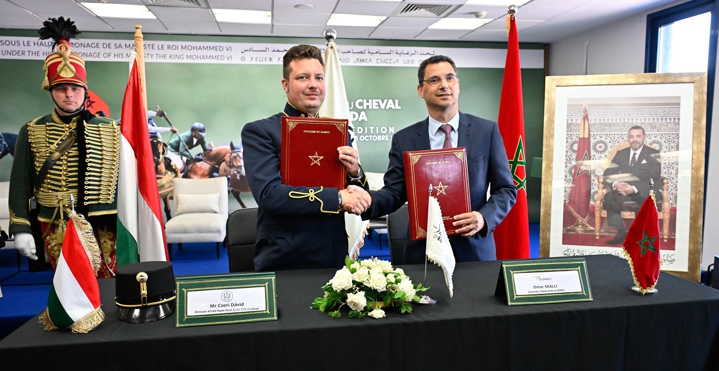 شراكة مغربية–هنغارية لحماية سلالات الخيول الأصيلة