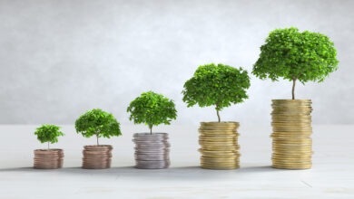 380 مليار درهم حجم الاستثمارات العمومية في 2026
