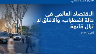 صندوق النقد الدولي: توقعات متفائلة للمغرب رغم تقلبات الاقتصاد العالمي