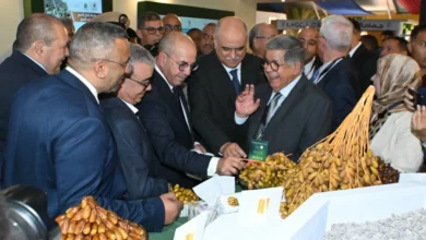 معرض التمور بأرفود يسلّط الضوء على الإنتاج القياسي وتدبير الموارد المائية