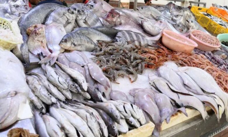 اعتماد إجراءات جديدة لضبط أسعار السمك واستقرارها