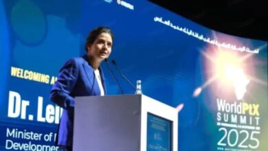 قمة مراكش: دعوات لإطار تنظيمي إفريقي مستقل للطاقات النظيفة