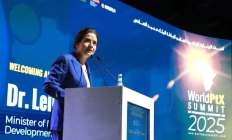قمة مراكش: دعوات لإطار تنظيمي إفريقي مستقل للطاقات النظيفة