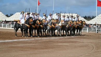 أزيد من 150 ألف زائر في النسخة الـ 16 لمعرض الفرس