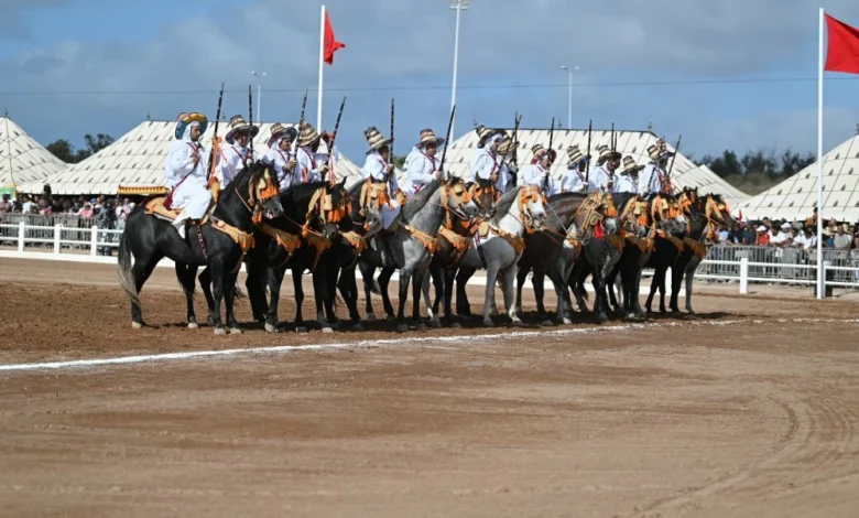 أزيد من 150 ألف زائر في النسخة الـ 16 لمعرض الفرس