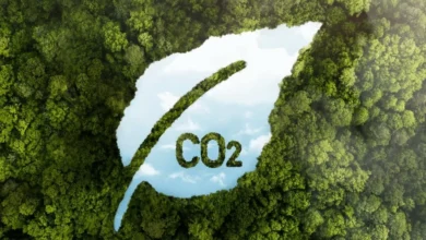 شراكة مغربية ألمانية لتسريع الانتقال نحو اقتصاد أخضر ومنخفض الكربون