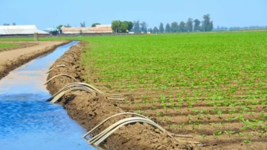 بطاقة فلاحية رقمية لحماية الأراضي الزراعية بجهة كلميم واد نون