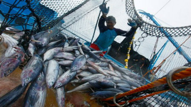 الاتحاد الأوروبي يستعد للتفاوض مع المغرب حول اتفاق جديد للصيد البحري