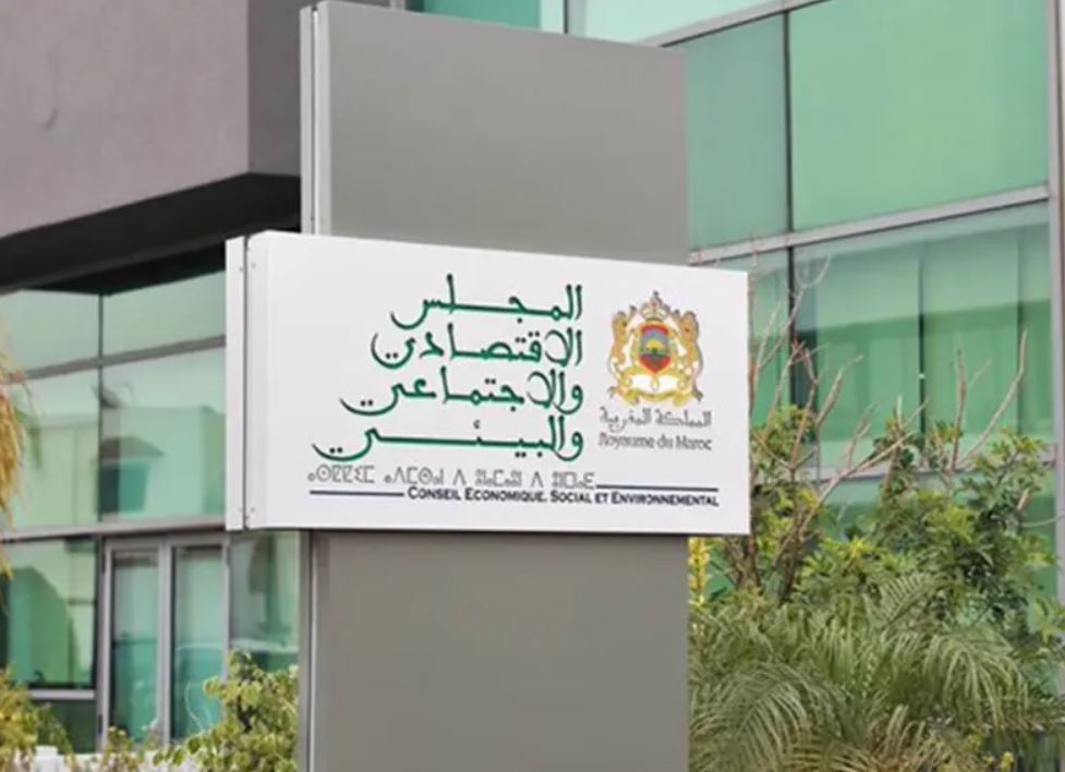 تقرير المجلس الاقتصادي: 15 ألف مقاولة صغيرة تتعثر في سنة واحدة