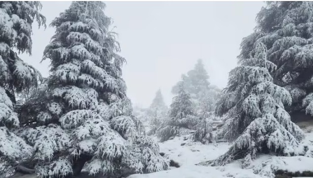 الثلوج تغطي قمم الأطلس وتنعش آمال تعافي الفرشة المائية