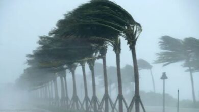 رياح قوية وزخات رعدية بعدد من مناطق المملكة اليوم الأربعاء وغدا الخميس