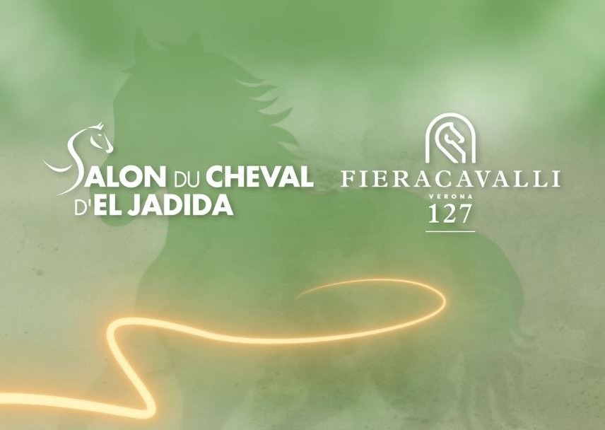 المغرب ضيف شرف معرض "فيراكافالي" 2025 في فيرونا الإيطالية