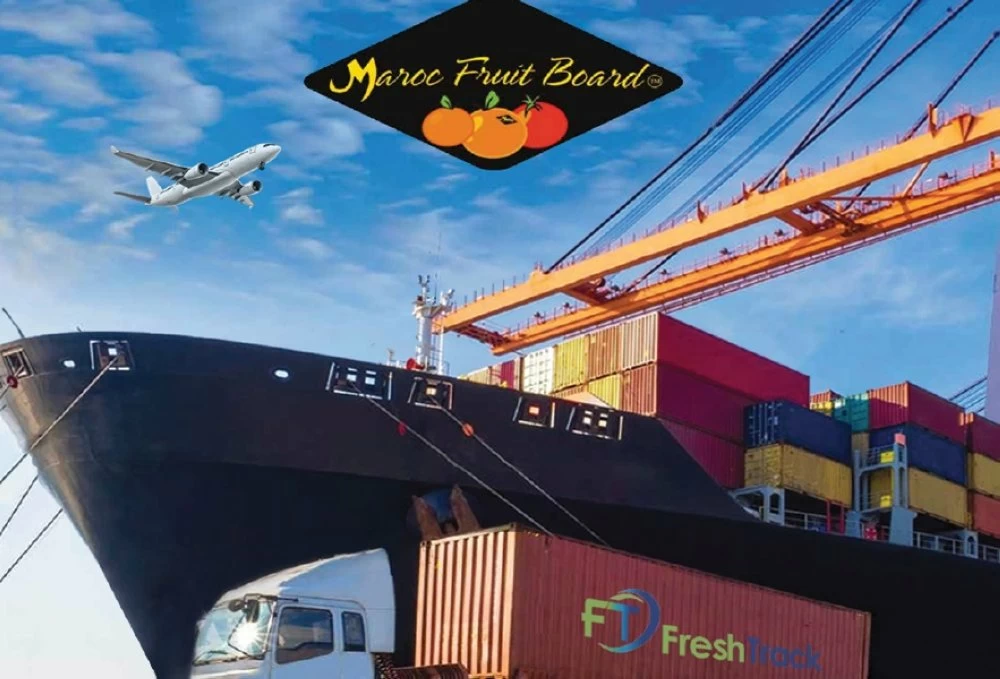 حملة MFB للتصدير تعزز حضور المغرب في أسواق أوروبا وكندا