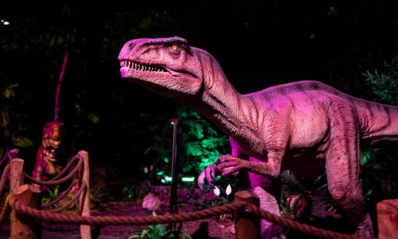الدار البيضاء تستعد لاحتضان تجربة "Dinos Alive" لأول مرة