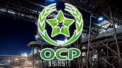 وكالة "فيتش" تُبقي تصنيف مجموعة OCP عند "BB+" بآفاق مستقرة