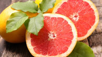 المغرب يسجل سنة قياسية في صادرات الجريب فروت نحو كندا