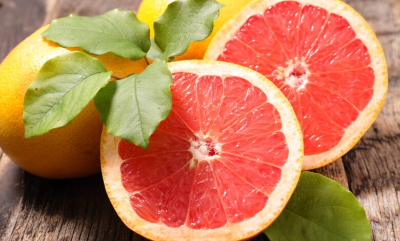 المغرب يسجل سنة قياسية في صادرات الجريب فروت نحو كندا