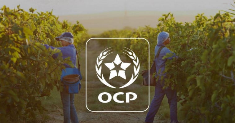 مجموعة OCP تحقق نمواً بـ 22% مع ارتفاع الطلب العالمي على الأسمدة