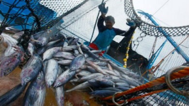 الاتحاد الأوروبي يستعد للتفاوض مع المغرب حول اتفاق جديد للصيد البحري