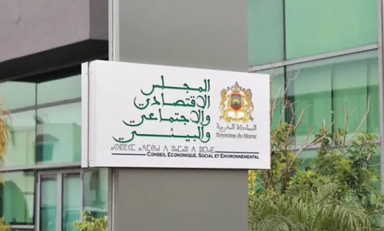 تقرير المجلس الاقتصادي: 15 ألف مقاولة صغيرة تتعثر في سنة واحدة