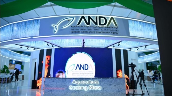 إطلاق منصة رقمية لتبسيط مسار الاستثمار في تربية الأحياء المائية