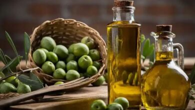 المغرب يترأس مجلس الزيتون لسنة 2026