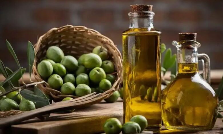 المغرب يترأس مجلس الزيتون لسنة 2026