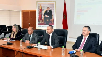 وزارة الصحة تطلق منصة رقمية لمتابعة وفيات الأمهات وتحسين الرعاية الصحية