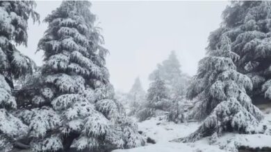 الثلوج تغطي قمم الأطلس وتنعش آمال تعافي الفرشة المائية