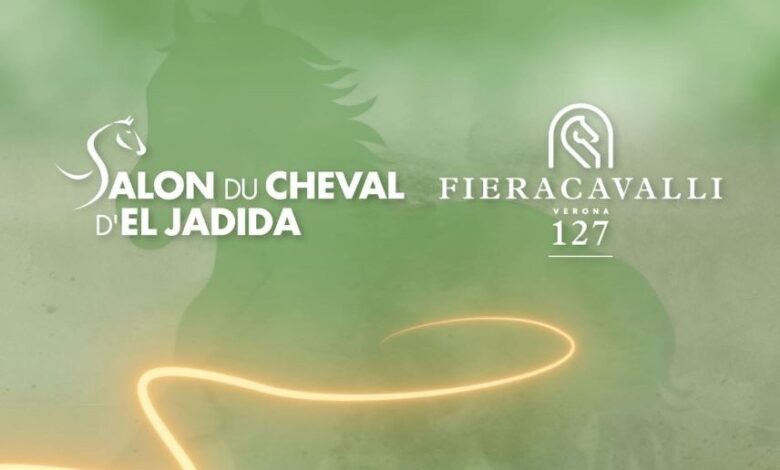 المغرب ضيف شرف معرض "فيراكافالي" 2025 في فيرونا الإيطالية