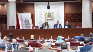 لجنة المالية والتنمية الاقتصادية تصادق على الجزء الأول من مشروع ميزانية 2026