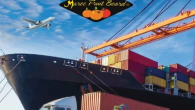 حملة MFB للتصدير تعزز حضور المغرب في أسواق أوروبا وكندا