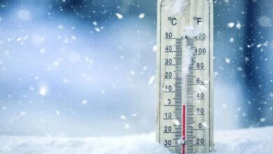 المديرية الأرصاد الجوية تحذر من طقس بارد وهبوب رياح قوية