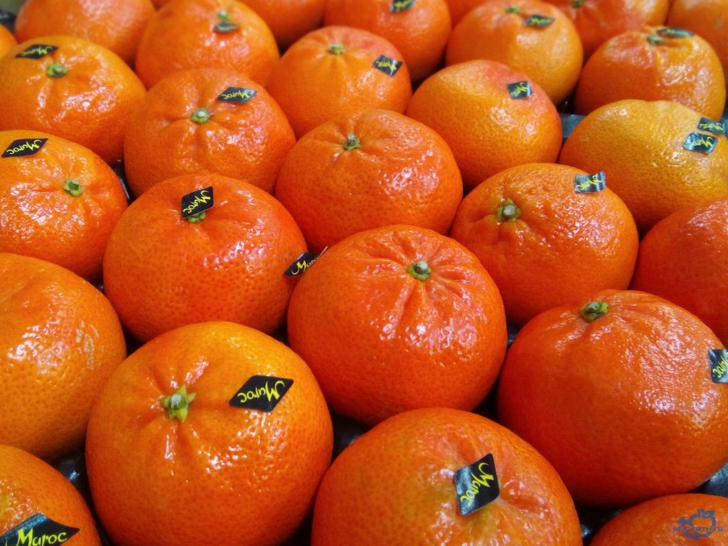 المندرين يرفع سقف صادرات المغرب من الحوامض 