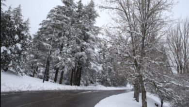 نشرة برتقالية: أمطار وثلوج كثيفة من الجمعة إلى الأحد