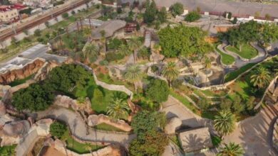 حديقة الحيوانات عين السبع تستقبل زوارها مجددا ابتداء من 22 دجنبر 2025