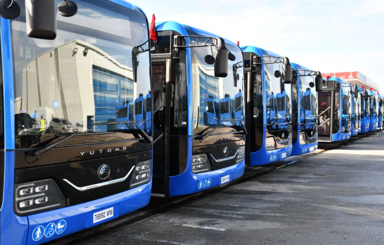 طنجة تعزز النقل الحضري بأسطول يضم 280 حافلة ذكية