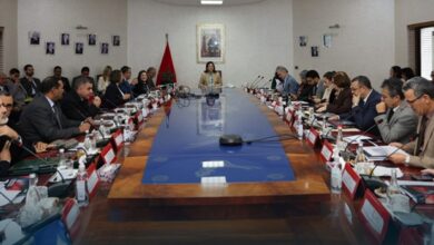 استثمار 1,76 مليار درهم لاستغلال 184 مشروعًا في تربية الأحياء المائية البحرية