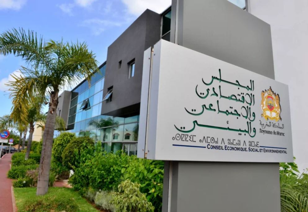 المجلس الاقتصادي والاجتماعي يصادق على برنامج الإحالات الذاتية