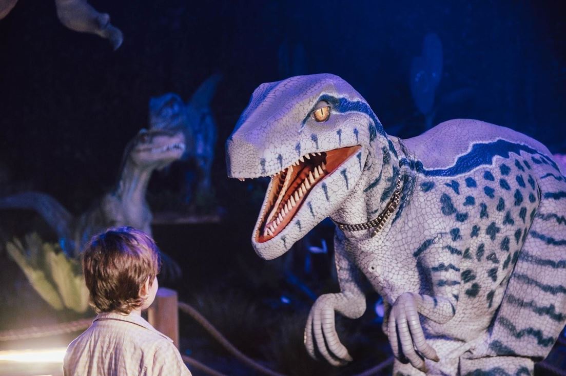 افتتاح معرض الديناصورات "Dinos Alive" لأول مرة في المغرب