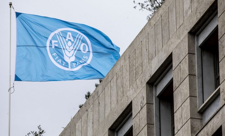 انتخاب المغرب نائباً لرئيس مجلس منظمة الأغذية والزراعة (الفاو)