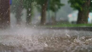 الأمطار تتجاوز 33 ملم خلال 24 ساعة واستمرار الاضطرابات الجوية