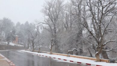 ثلوج وأمطار قوية وطقس بارد بعدد من مناطق المملكة