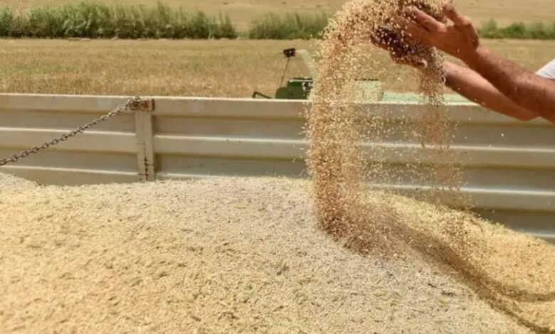 مجلس المنافسة يرصد اختلالات قطاع الحبوب والهدر الغذائي
