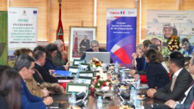 المغرب يطلق مشاريع الزراعة الإيكولوجية بتمويل أوروبي وفرنسي