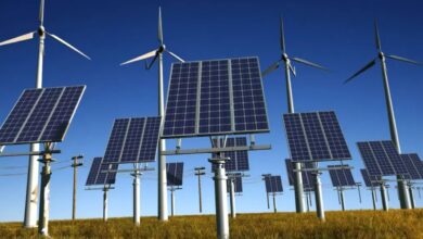 "غرينبيس": المغرب يتصدر شمال إفريقيا في الطاقات المتجددة