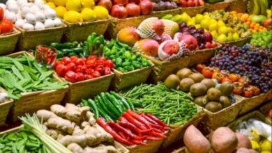 المغرب أكبر مورد للفواكه والخضر لإسبانيا في 2025