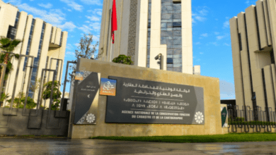 تحفيظ 1,1 مليون هكتار و430 ألف رسم عقاري في 2025