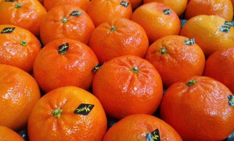 المندرين يرفع سقف صادرات المغرب من الحوامض 