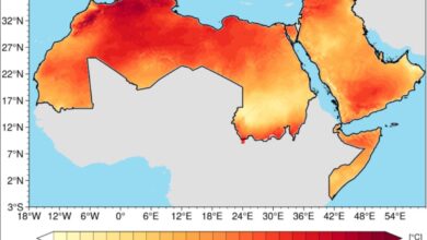 2024 تسجل أعلى حرارة في تاريخ المنطقة العربية